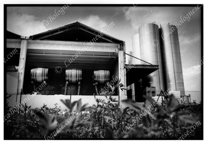 terremoto_Emilia_2012